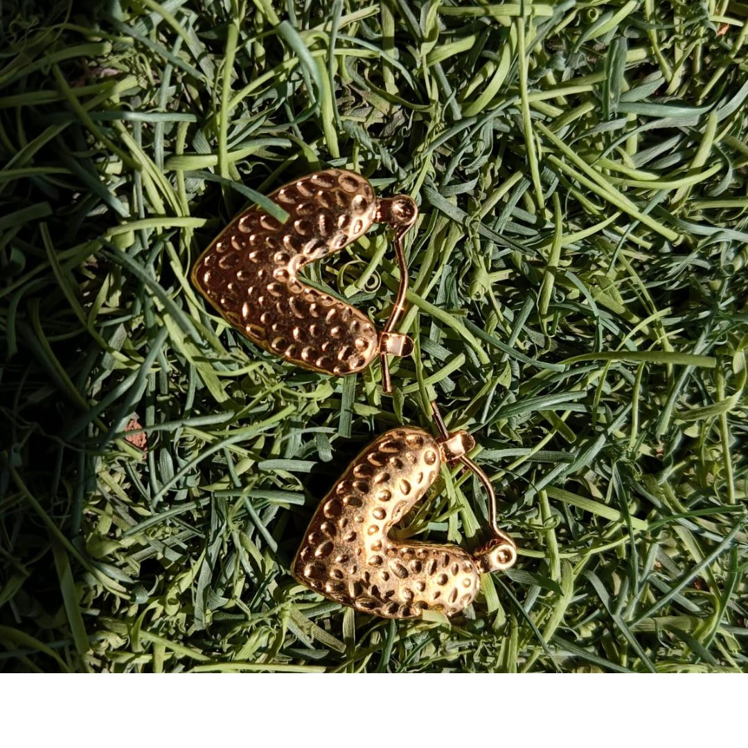 sigma Golden Hoops